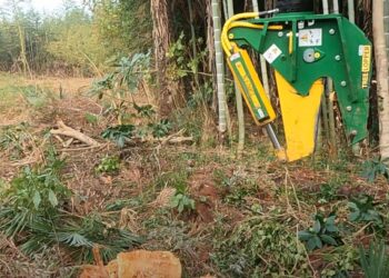 ツリーロッパー　作業動画