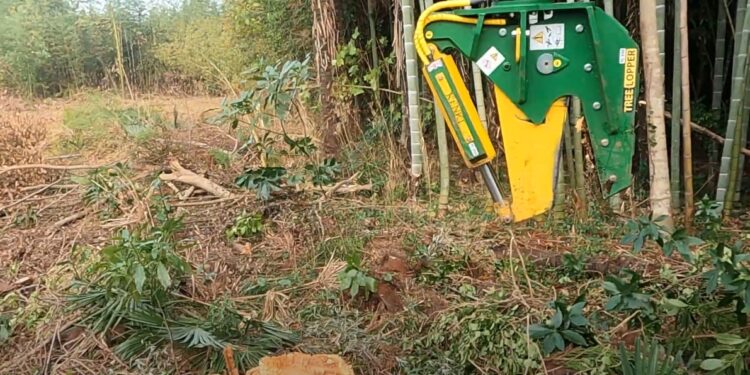 ツリーロッパー　作業動画