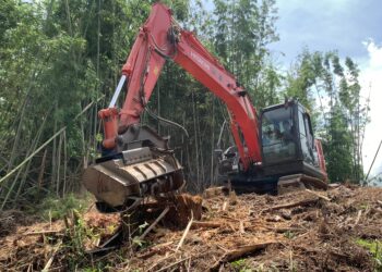 篠竹・立木・伐採粉砕　FAEマルチャー