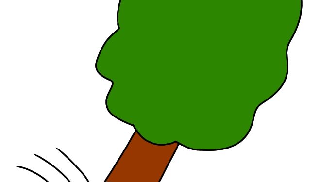 森林管理の基本：伐採・伐木・選定・伐根の違いを理解しよう